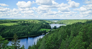 harctic superfoods la finlande, les myrtilles sauvages et leurs bienfaits