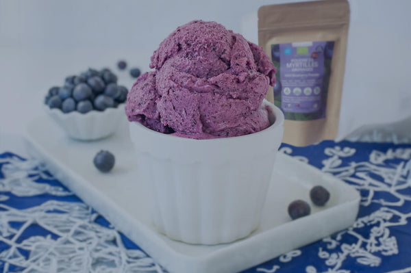 Harctic Superfoods True Arctic Superfoods no sugar blueberry ice cream