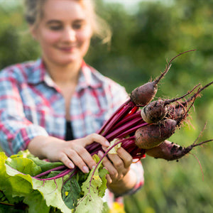 harctic superfoods betterave sportshot