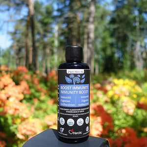 harctic superfoods elixir boost immunité ortie angélique immunité digestion antibactérien