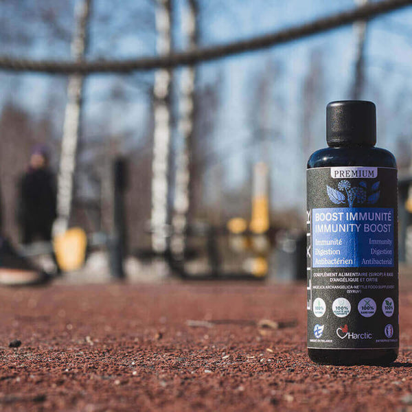 harctic superfoods elixir boost immunité ortie angélique immunité digestion antibactérien