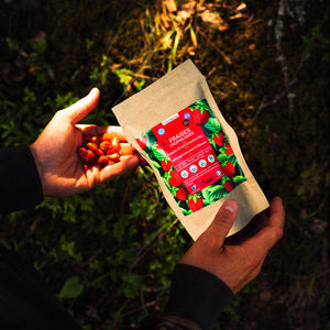 harctic superfoods fraises lyophilisées
