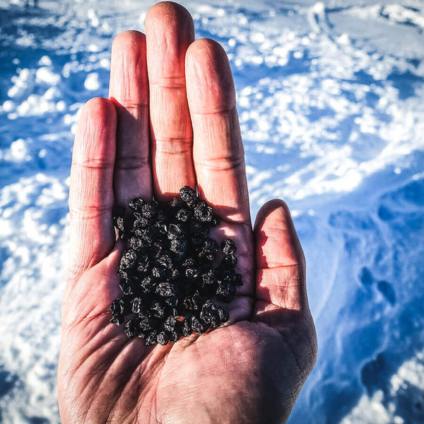 harctic superfoods myrtilles sauvages séchées bio snacking sain et healthy