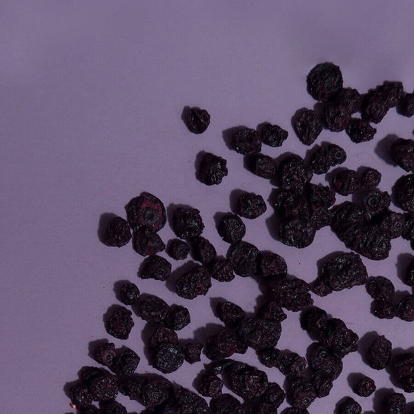 harctic superfoods myrtilles sauvages séchées bio snacking sain et healthy