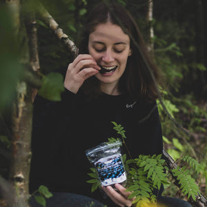 harctic superfoods utilisation pâtes de fruits