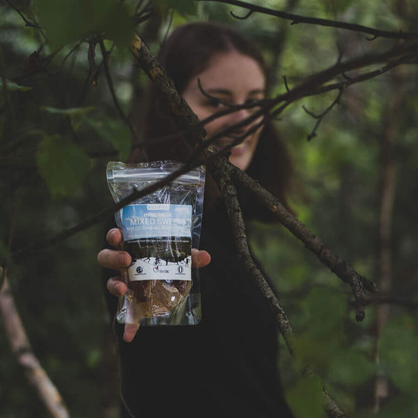 harctic superfoods pâtes de fruits artisanales mix de baies snacking sport pratique