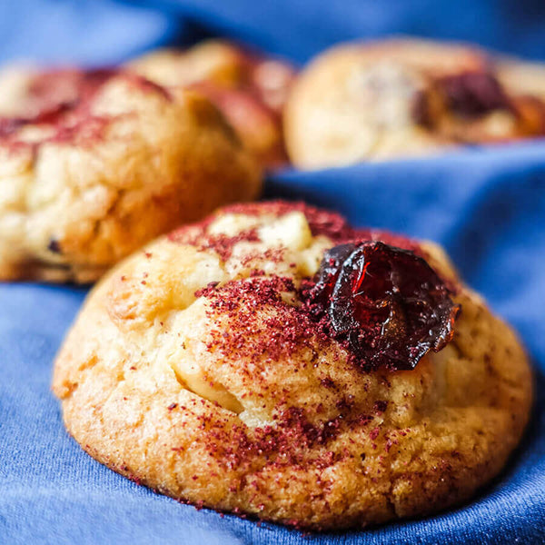 harctic superfoods poudre de myrtilles sauvages bio