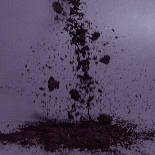 harctic superfoods poudre de myrtilles sauvages bio