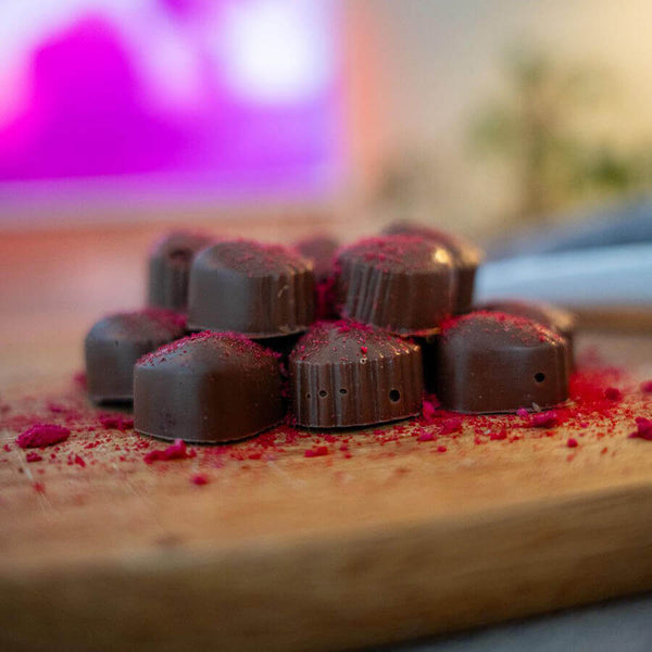 harctic superfoods poudres de baies rouges bio airelle canneberge groseille