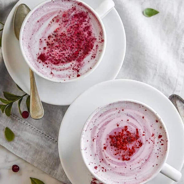 harctic superfoods poudres de baies rouges bio airelle canneberge groseille