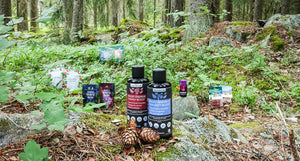 Harctic Superfoods wholesale resellers clients products in a Finnish forest