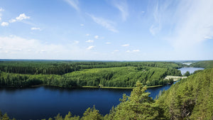 Harctic Superfoods Finnish nature scenery with clean lakes and unpolluted forests