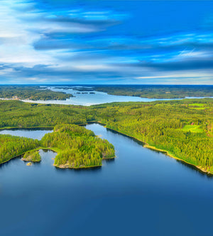 Harctic Superfoods made in Finland picture of Finnish summer with lakes and forests