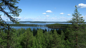 Harctic Superfoods national Finnish landscape with lakes and forests and blue skies with some clouds
