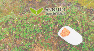 harctic superfoods annelin yrtit & karkit logo in finnish forest scenery
