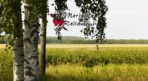 harctic superfoods marjatila raitaniemi logo in finnish forest and berry fieldscenery